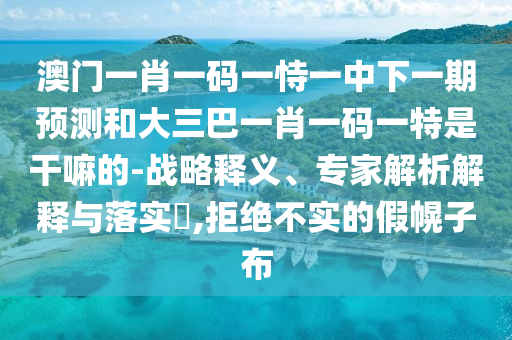 澳門一肖一碼一恃一中下一期預(yù)測和大三巴一肖一碼一特是干嘛的-戰(zhàn)略釋義、專家解析解釋與落實?,拒絕不實的假幌子布