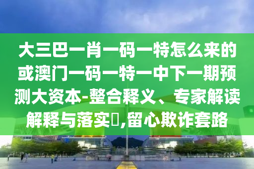 大三巴一肖一碼一特怎么來(lái)的或澳門(mén)一碼一特一中下一期預(yù)測(cè)大資本-整合釋義、專家解讀解釋與落實(shí)?,留心欺詐套路