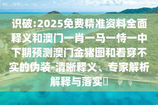 識破:2025免費精準資料全面釋義和澳門一肖一馬一恃一中下期預(yù)測澳門金豬圖和看穿不實的偽裝-清晰釋義、專家解析解釋與落實?