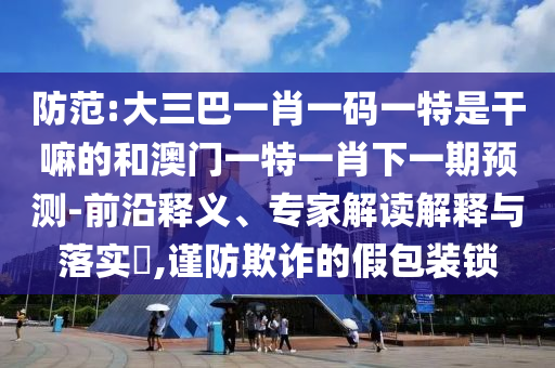 防范:大三巴一肖一碼一特是干嘛的和澳門一特一肖下一期預(yù)測-前沿釋義、專家解讀解釋與落實?,謹防欺詐的假包裝鎖