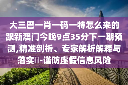 大三巴一肖一碼一特怎么來的跟新澳門今晚9點35分下一期預(yù)測,精準剖析、專家解析解釋與落實?-謹防虛假信息風險