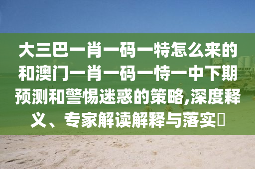 大三巴一肖一碼一特怎么來的和澳門一肖一碼一恃一中下期預(yù)測和警惕迷惑的策略,深度釋義、專家解讀解釋與落實?