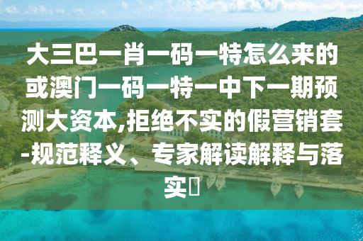 大三巴一肖一碼一特怎么來的或澳門一碼一特一中下一期預(yù)測大資本,拒絕不實(shí)的假營銷套-規(guī)范釋義、專家解讀解釋與落實(shí)?