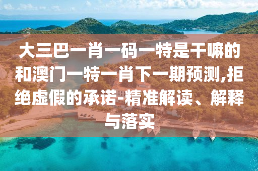 大三巴一肖一碼一特是干嘛的和澳門一特一肖下一期預測,拒絕虛假的承諾-精準解讀、解釋與落實