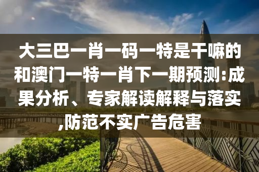 大三巴一肖一碼一特是干嘛的和澳門一特一肖下一期預(yù)測:成果分析、專家解讀解釋與落實,防范不實廣告危害