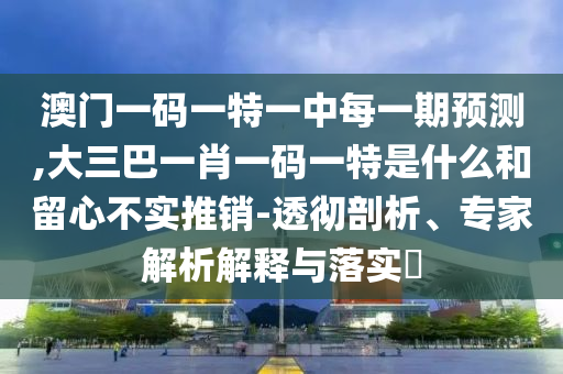 澳門一碼一特一中每一期預(yù)測,大三巴一肖一碼一特是什么和留心不實推銷-透徹剖析、專家解析解釋與落實?