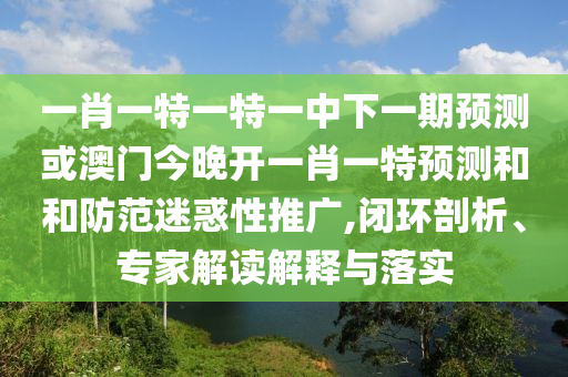 一肖一特一特一中下一期預測或澳門今晚開一肖一特預測和和防范迷惑性推廣,閉環(huán)剖析、專家解讀解釋與落實
