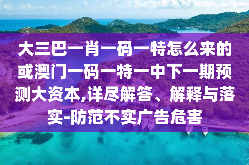 大三巴一肖一碼一特怎么來的或澳門一碼一特一中下一期預(yù)測大資本,詳盡解答、解釋與落實-防范不實廣告危害