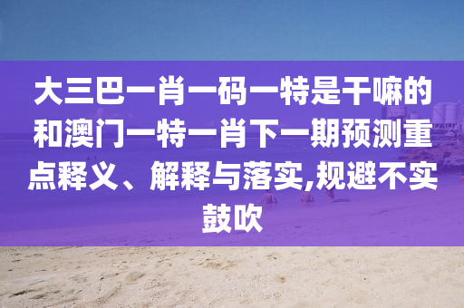 大三巴一肖一碼一特是干嘛的和澳門一特一肖下一期預(yù)測(cè)重點(diǎn)釋義、解釋與落實(shí),規(guī)避不實(shí)鼓吹