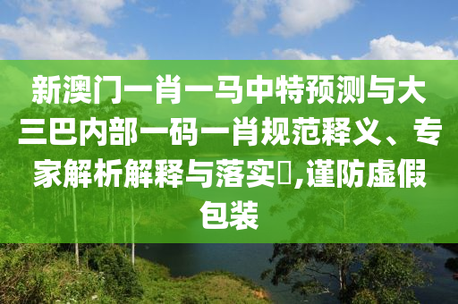 新澳門一肖一馬中特預(yù)測與大三巴內(nèi)部一碼一肖規(guī)范釋義、專家解析解釋與落實?,謹(jǐn)防虛假包裝