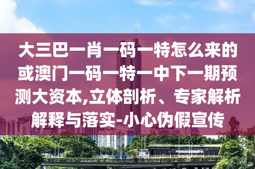 大三巴一肖一碼一特怎么來的或澳門一碼一特一中下一期預(yù)測大資本,立體剖析、專家解析解釋與落實(shí)-小心偽假宣傳
