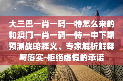 大三巴一肖一碼一特怎么來的和澳門一肖一碼一恃一中下期預(yù)測(cè)戰(zhàn)略釋義、專家解析解釋與落實(shí)-拒絕虛假的承諾