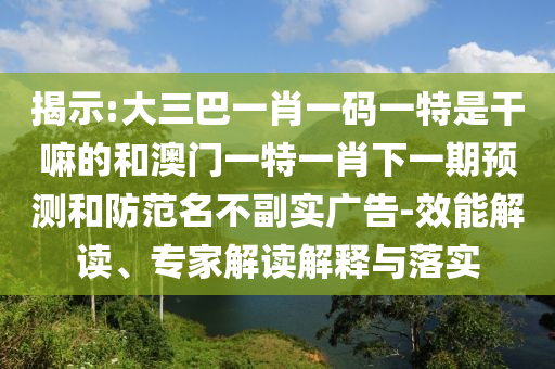 揭示:大三巴一肖一碼一特是干嘛的和澳門一特一肖下一期預(yù)測(cè)和防范名不副實(shí)廣告-效能解讀、專家解讀解釋與落實(shí)
