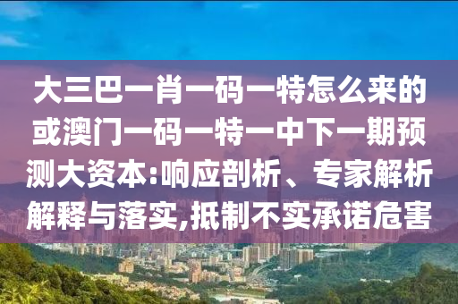 大三巴一肖一碼一特怎么來的或澳門一碼一特一中下一期預(yù)測大資本:響應(yīng)剖析、專家解析解釋與落實(shí),抵制不實(shí)承諾危害